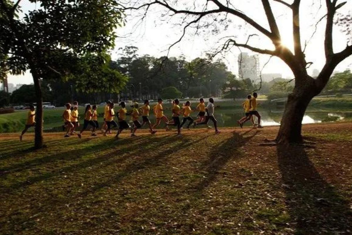 Onde correr em SP: dicas para explorar a cidade que não para! - Corrida  Perfeita